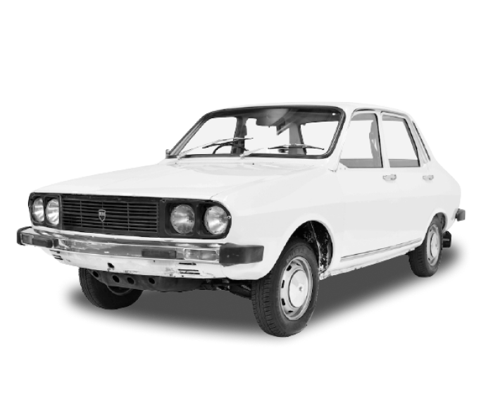 DACIA 1325