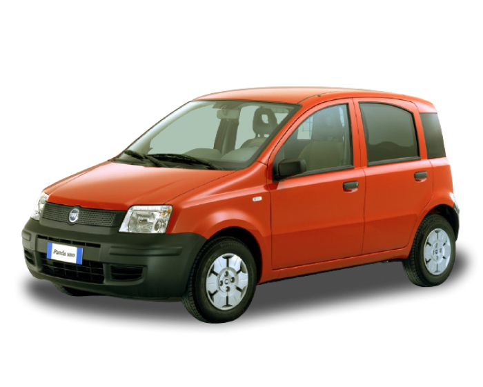 FIAT PANDA Фургон/хетчбэк (169_)