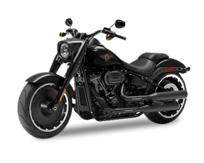 HARLEY-DAVIDSON 110th ANNIVERSARY EDITION
