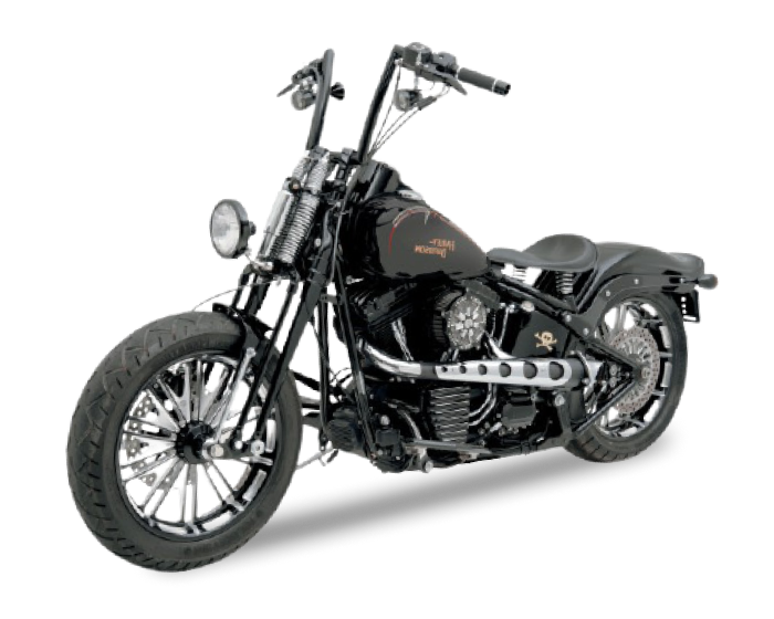 HARLEY-DAVIDSON CROSS BONES