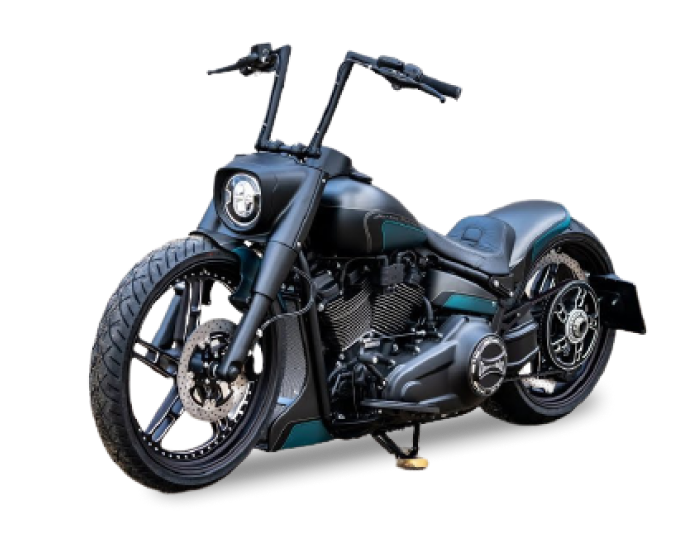 HARLEY-DAVIDSON SLIM