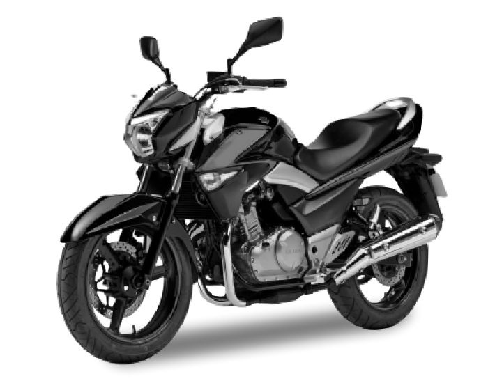 SUZUKI INAZUMA